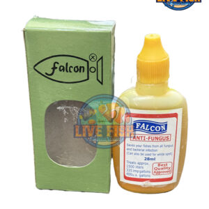 Falcon Anti-Fungus