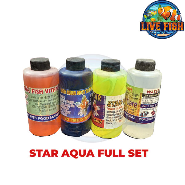 Star Fish Medicine Medium Full Set