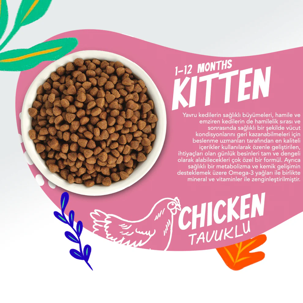 Jungle Kitten Dry Cat Food Chicken complete nutrition for kittens