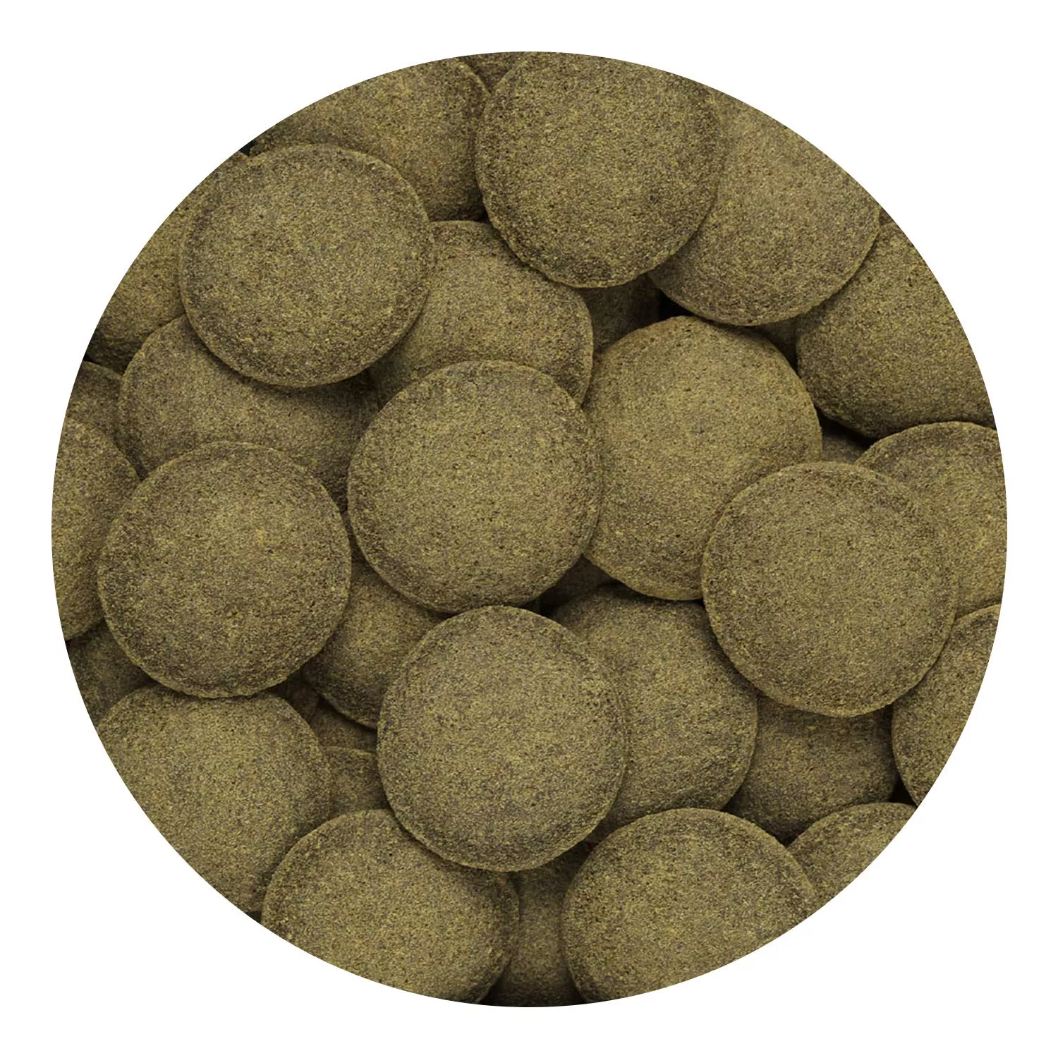 HIKARI Tropical Algae Wafers 20g – Premium Plant-Based Fish Food - Image 2