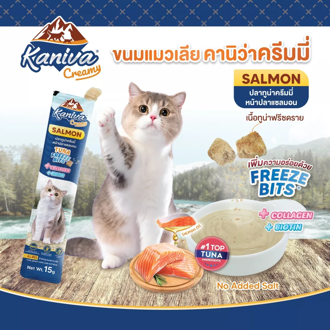 Kaniva Creamy Cat Treat Salmon Flavor 15g