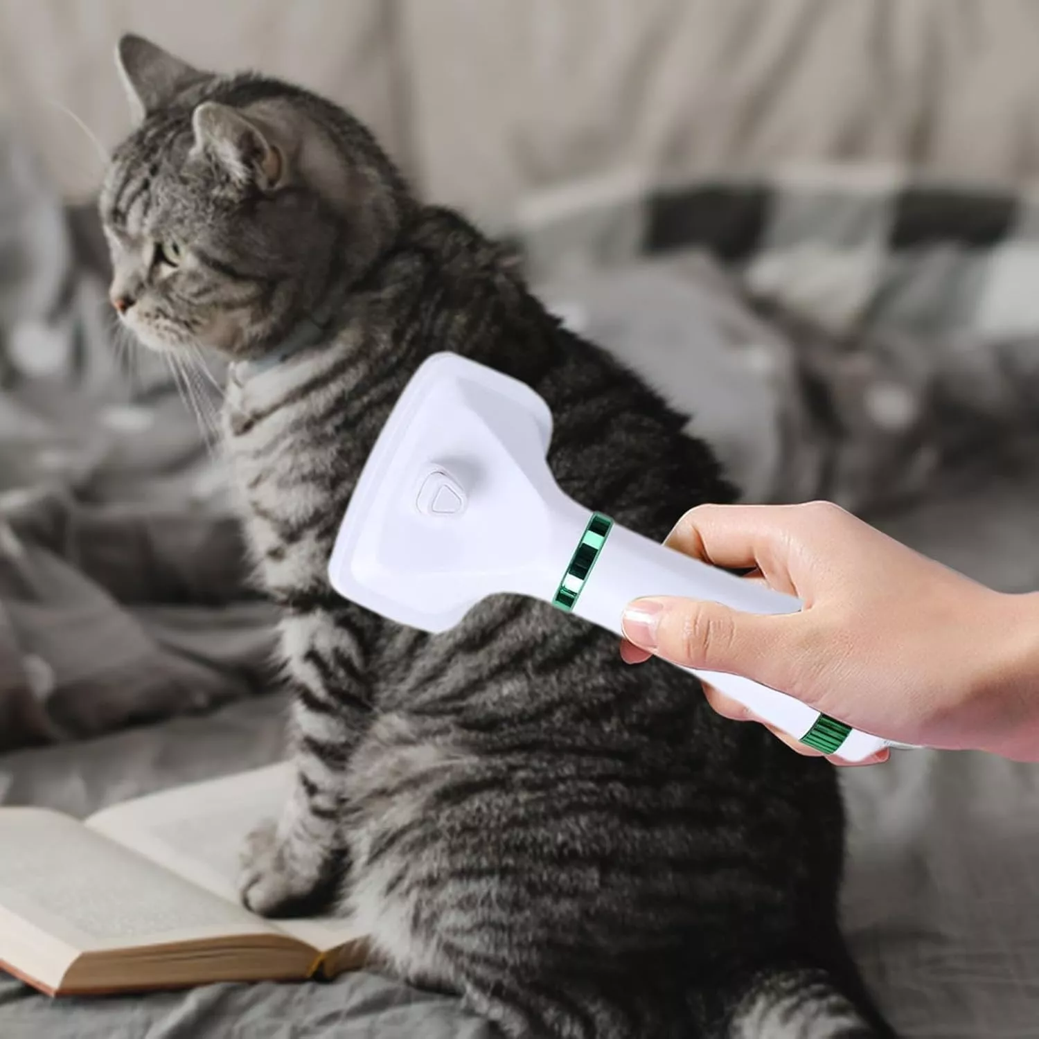 2 In 1 Needle Comb Pet Dog Dryer Hair Dryer & Comb Brush Low Noise for Cats & Dogs - Image 3
