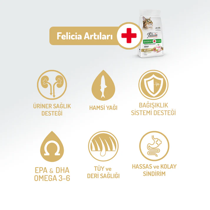 Felicia Adult Hypoallergenic Cat Food Lamb 2kg | Collagen-Enhanced Sensitive Care - Image 2