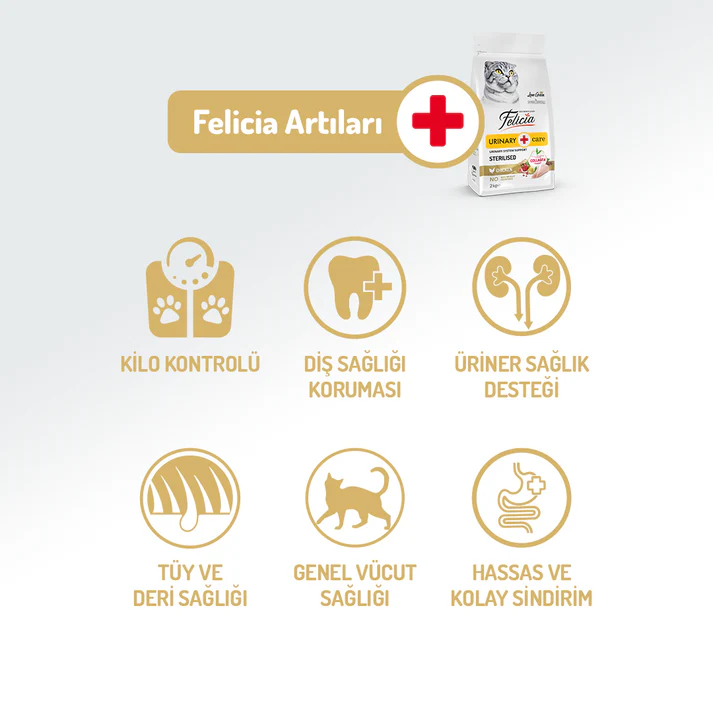 Felicia Collagen-Enhanced Hypoallergenic Chicken Sterilized Adult Cat Food 2KG | Urinary & Weight Management Formula - Image 4