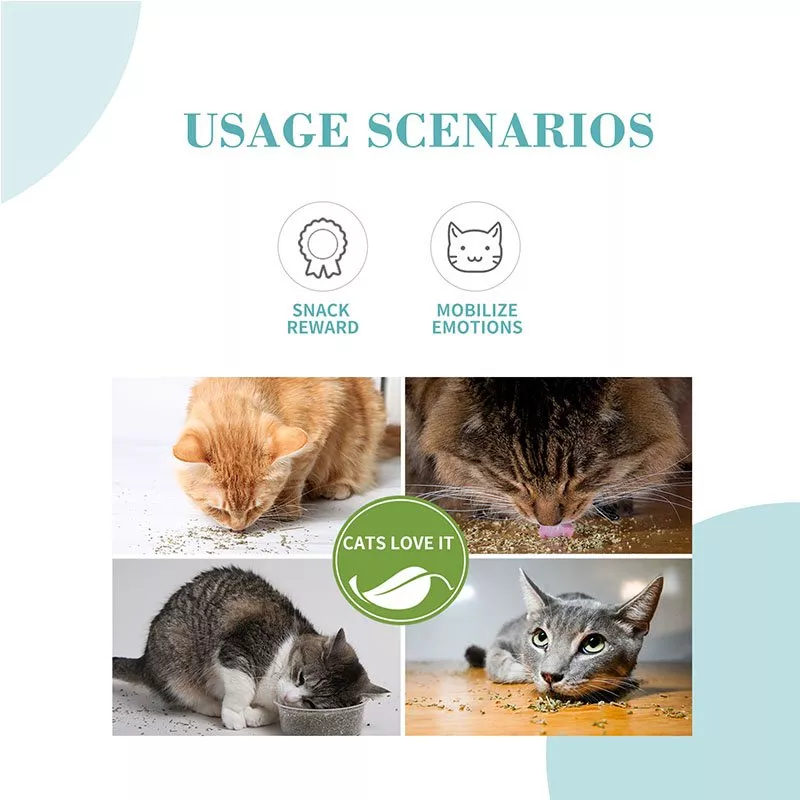 Catnip Leaves 20g Natural Dried Catnip for Cats