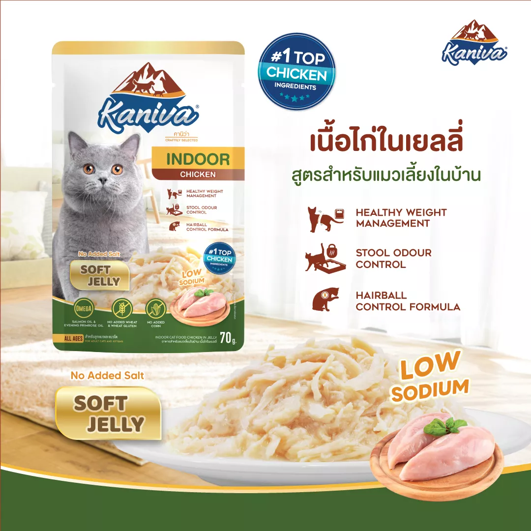 Kaniva Indoor Chicken Soft Jelly Pouch Wet Cat Food